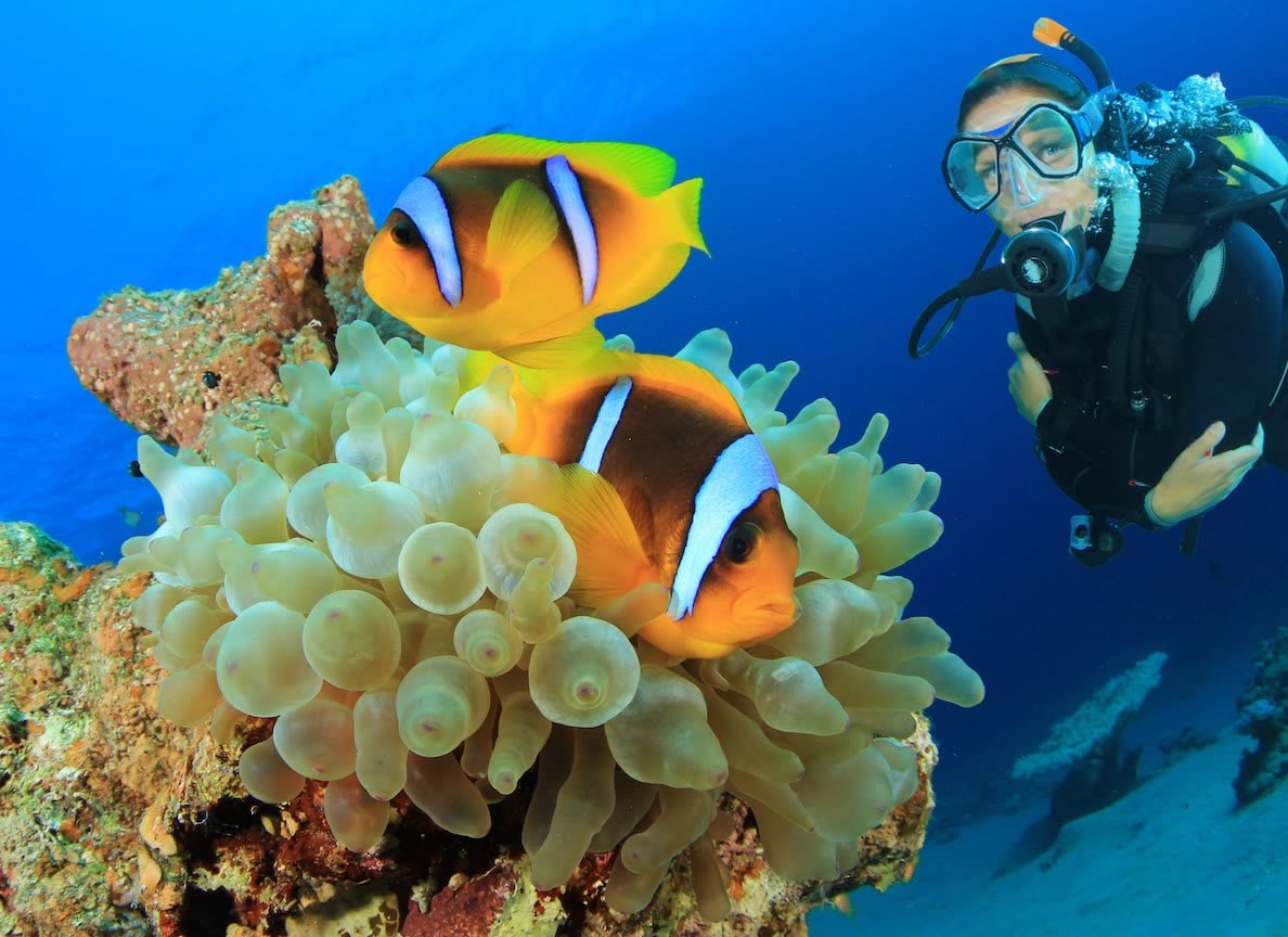 PADI Bubblemaker — Kind beim ersten Atemzug unter Wasser