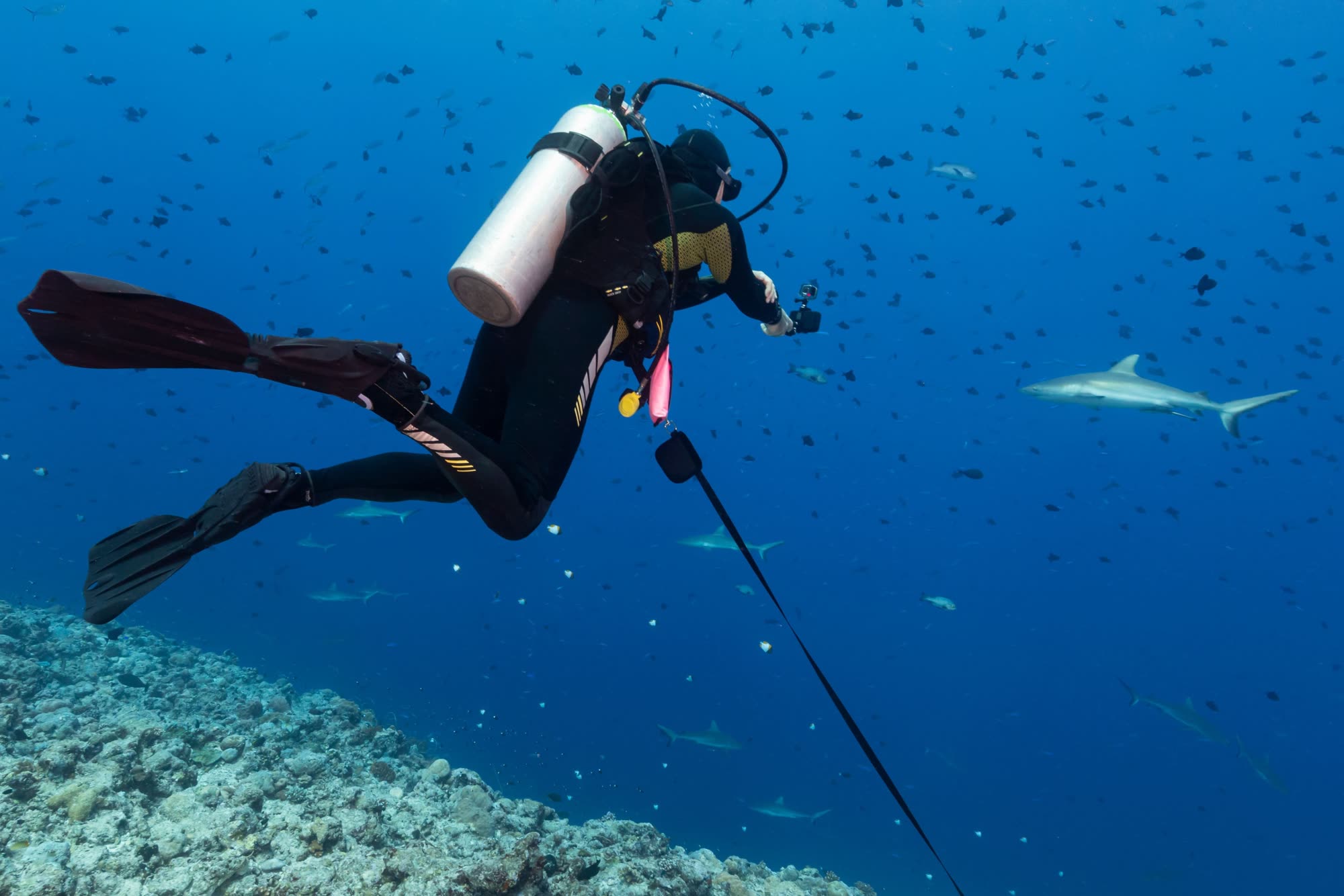Advanced Open Water — Tieftauchgang im Riff